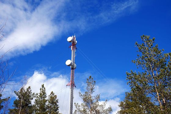 Red and white mobile phone mast with microwave dishes rising above pine trees