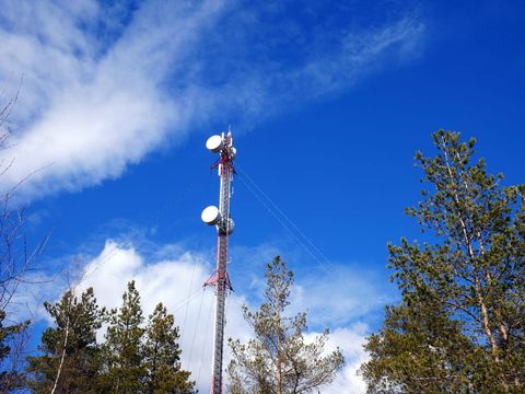 Rot-weißer Mobilfunkmast mit Richtfunkantennen zwischen Kiefern vor blauem Himmel